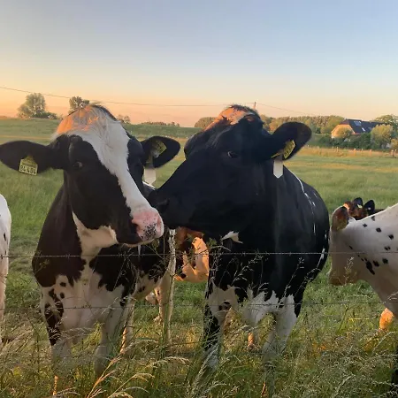 Haus Am Damm Lejlighed Kleve (Dusseldorf)