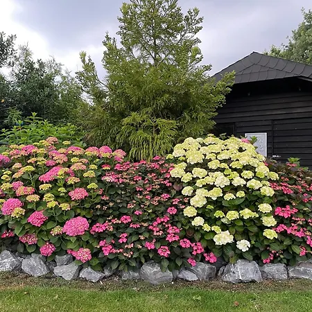 Lägenhet Haus Am Damm