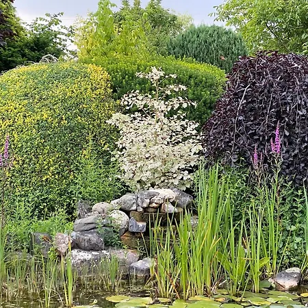 Haus Am Damm * Kleve (Dusseldorf)