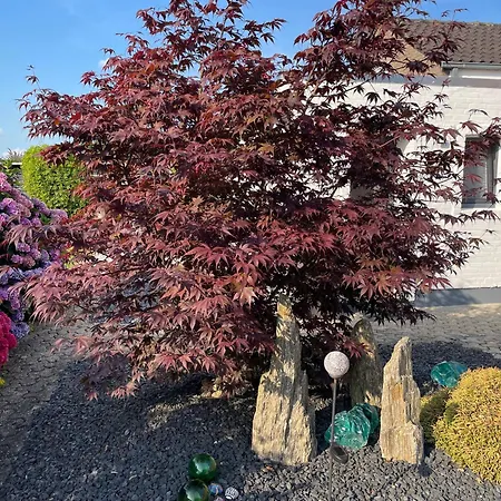 Haus Am Damm Lejlighed