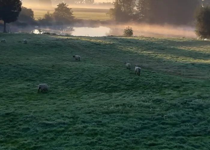 Lägenhet Haus Am Damm Kleve (Dusseldorf)