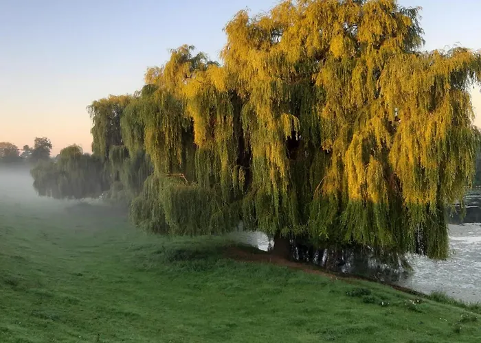 Appartement Haus Am Damm Clèves
