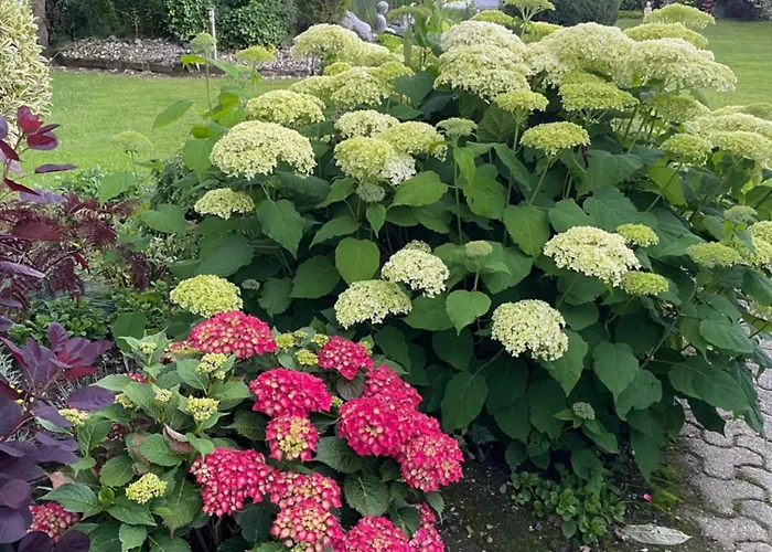 Haus Am Damm * Kleve (Dusseldorf)