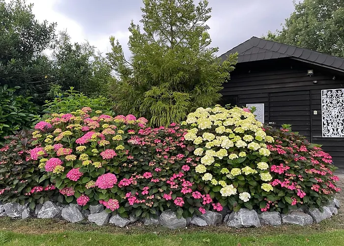 Appartement Haus Am Damm