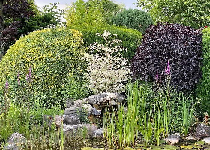 Haus Am Damm * Kleve (Dusseldorf)