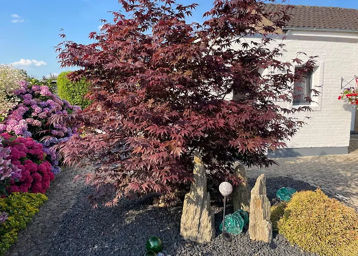 Haus Am Damm Lägenhet