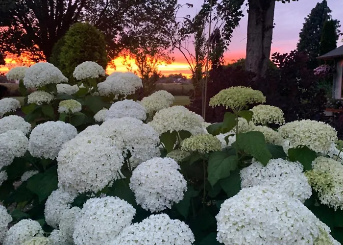 Lägenhet Haus Am Damm *